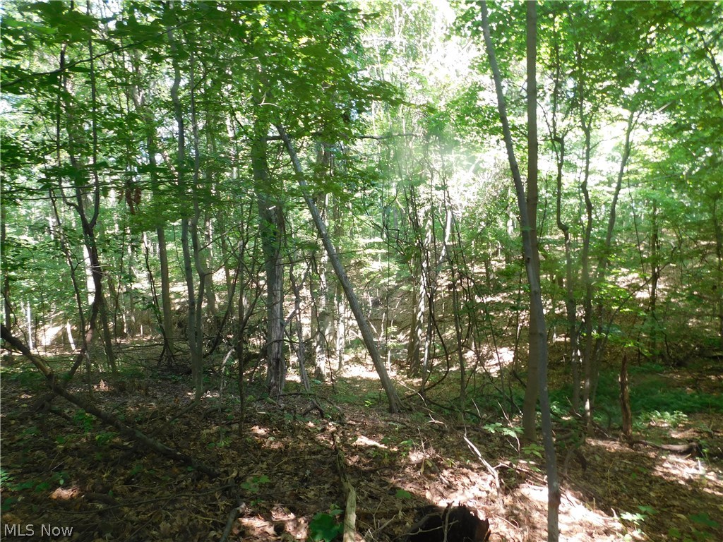 Woods/Arbor Glen - Land