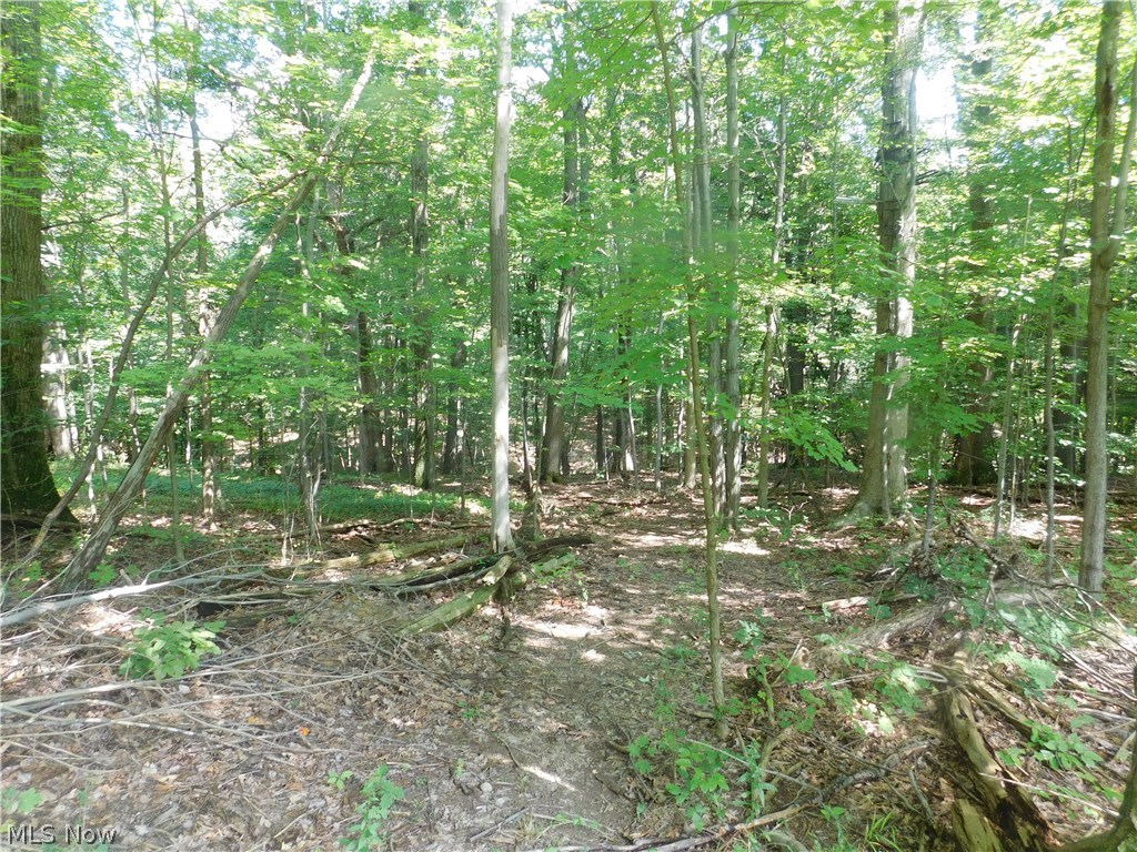 Woods/Arbor Glen - Land