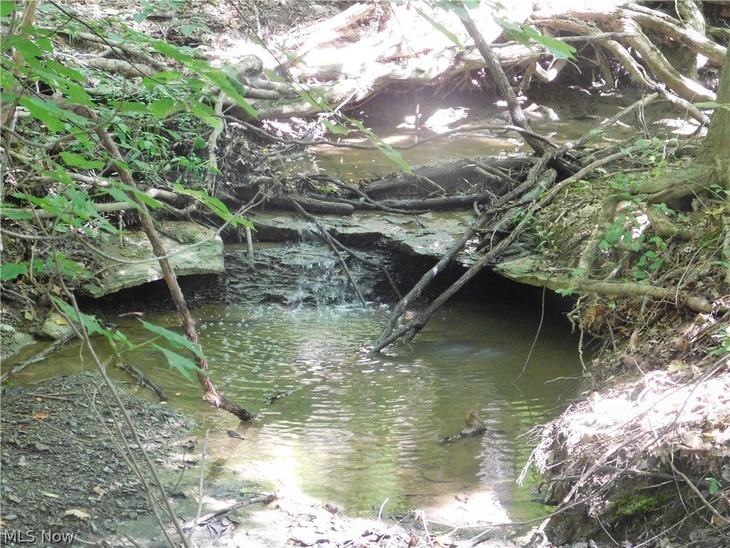 Woods/Arbor Glen - Land