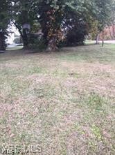 Nice corner lot. Water and sewer hook up available. Tap in fees apply. Address is Massillon but the lot sits in Richville.