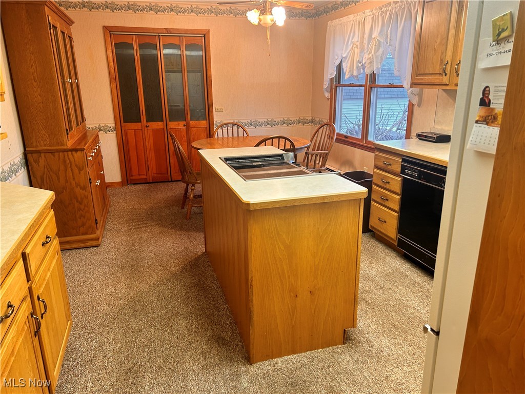 3080 Bradley Brownlee Road, Cortland, Ohio image 10