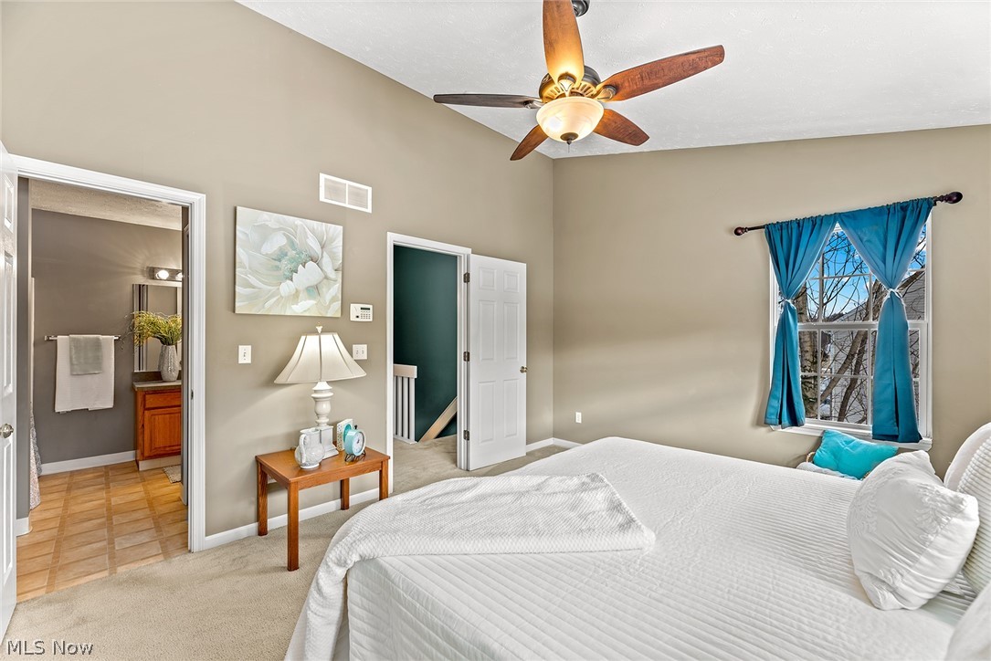 Meadows/Copley Allotment - Residential