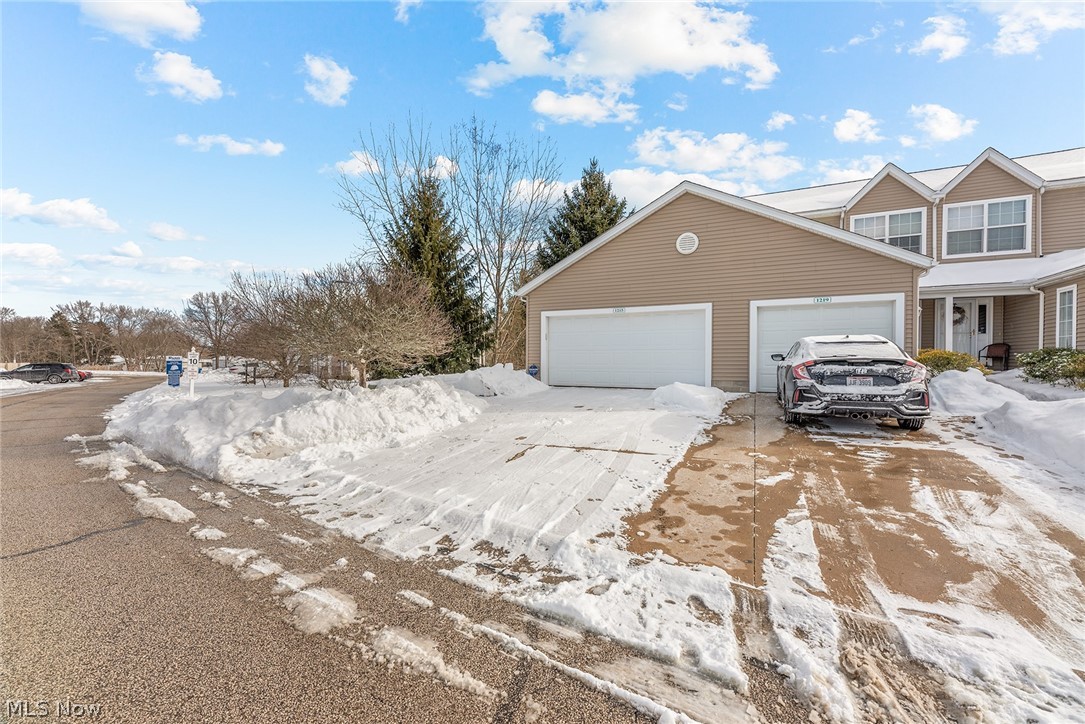 Meadows/Copley Allotment - Residential