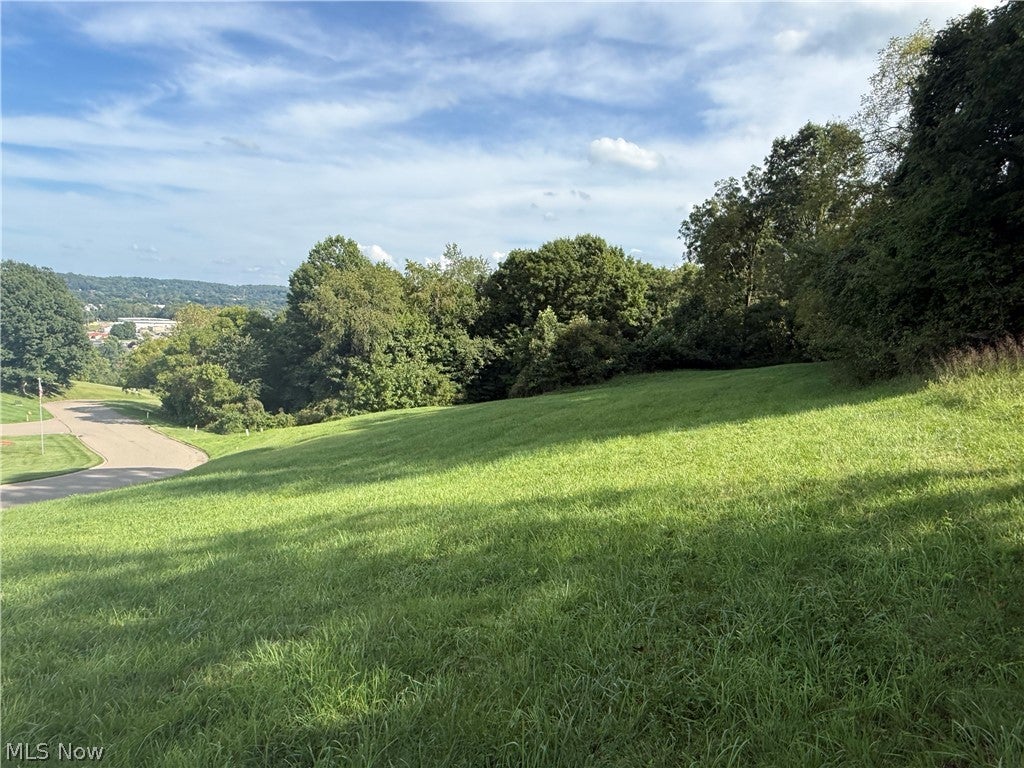 Spitler Drive