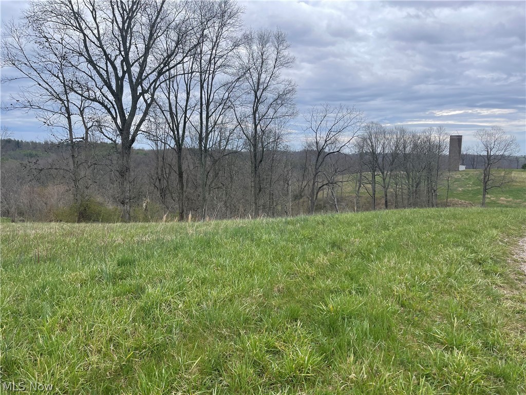 Photo 1 of 5 — McInturf Road, Stockport, OH 43787