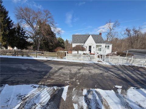 Homes For Sale - 403 Burrows Avenue<br/> Columbiana County, East Liverpool, OH 43920