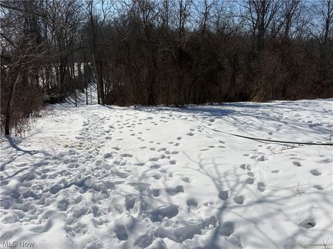 Vacant Land For Sale - Tract 6 Winland Lane<br/> Monroe County, Graysville, OH 45734