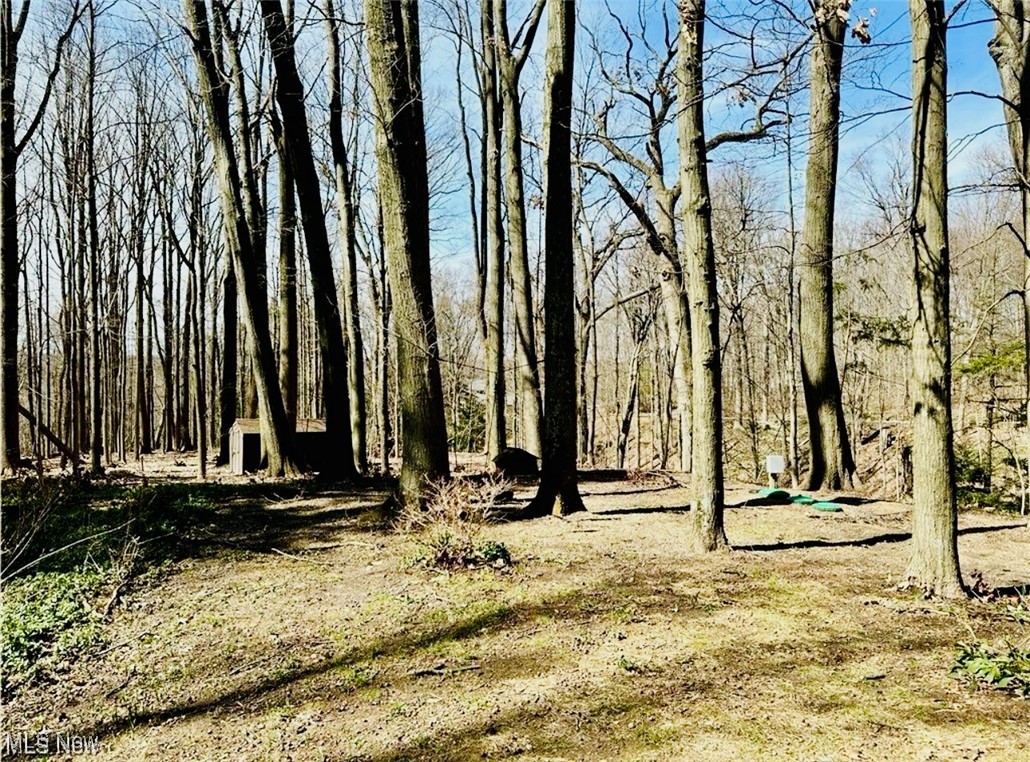 Gates Mills, Ohio 44040, United States, 4 Bedrooms Bedrooms, ,3 BathroomsBathrooms,Residential,Active,93982