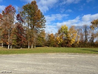 Black Duck Court, Cortland, Ohio image 2