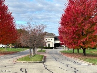 Black Duck Court, Cortland, Ohio image 12