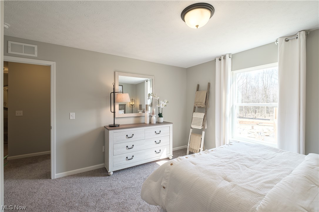 Summit at Forest Lakes - Residential