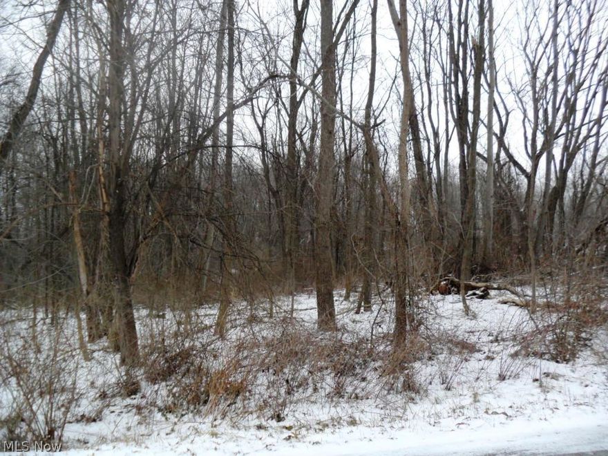 WOW!  90X130 (0.269 acre) lot.  Public water & public sewer is available.  Convenient location to hospital, shopping, restaurants, & Routes 14, 5, & 88.
Buyer is responsible for due diligence inquiry of all property information contained herein and property suitability  for buyers intended purpose.