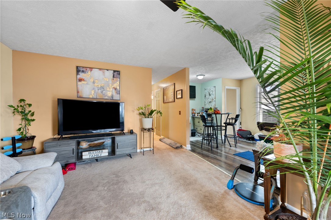 Terra Alta Allotment - Residential