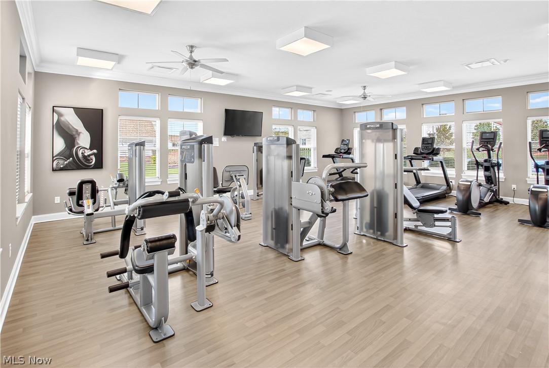 Four Seasons/Chestnut Rdg Sub - Residential