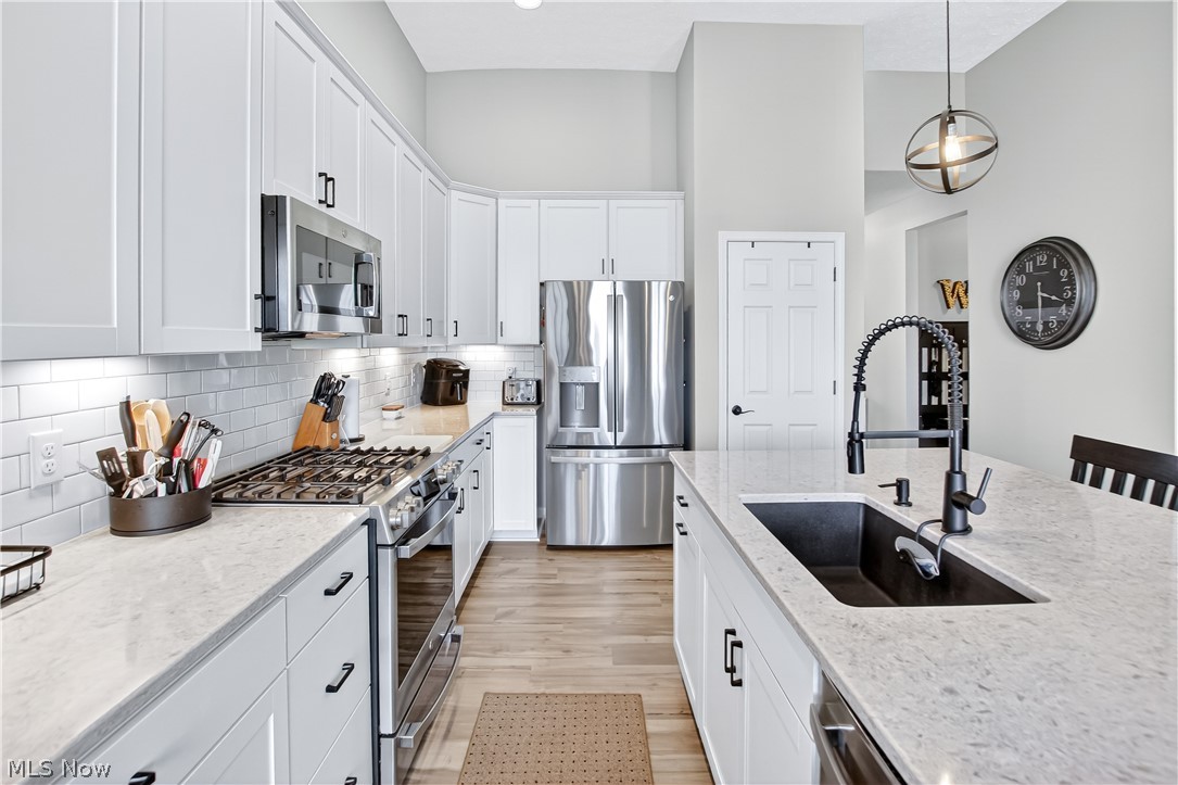 Four Seasons/Chestnut Rdg Sub - Residential