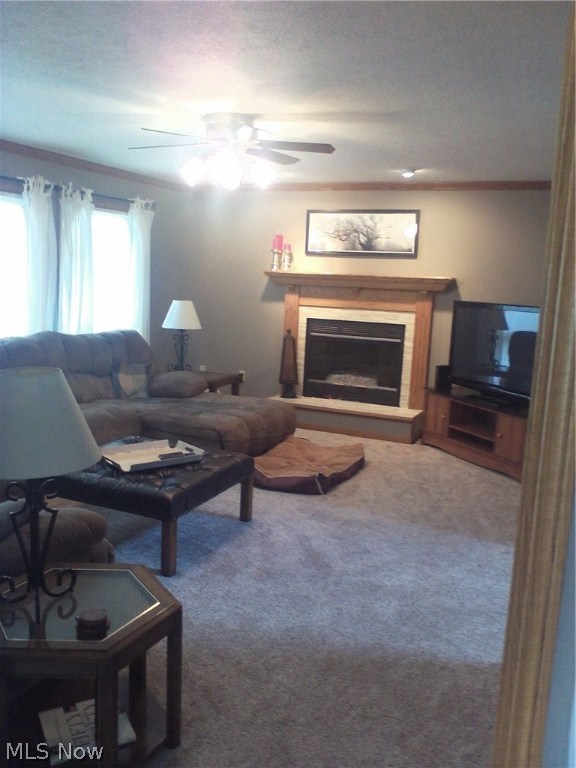 Meadows Sub - Residential