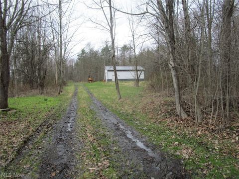 Vacant Land For Sale - 4381 Higley Road<br/> Ashtabula County, Rome, OH 44085