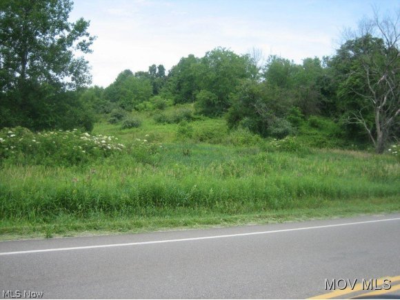 46 + acres with hard top road on two sides. Seller reserves gas rights and row for line from existing well. Excellent hunting 80% wooded, building site, gas, water on 555. There is a grave yard on the property. M468 BBC Elem: Barlow-Vincent Elementary Scho Elem/Bus: Y JrHigh: Barlow Vincent JrHigh/Bus: Y High: Warren High School High/Bus: Y Fire: VOL Police: SHF