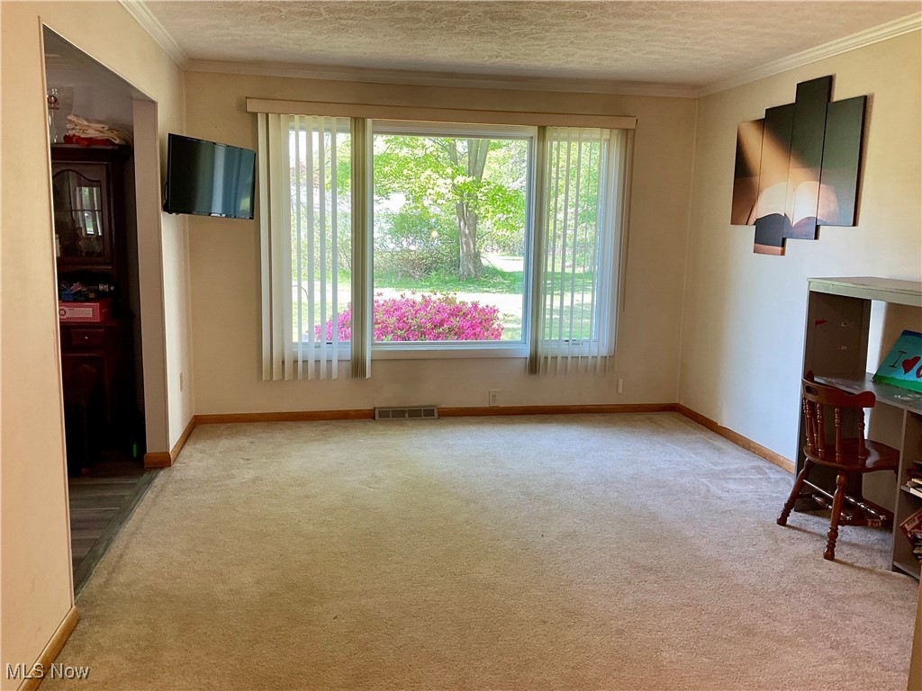 205 Heritage Lane, Cortland, Ohio image 3