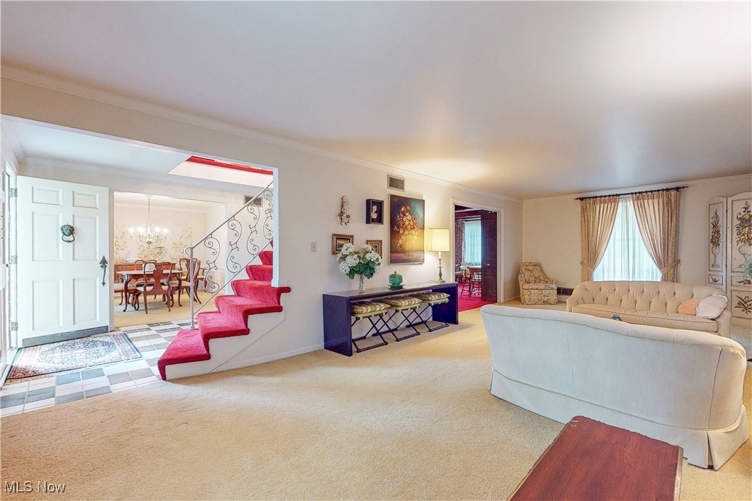 141 Teresa Drive