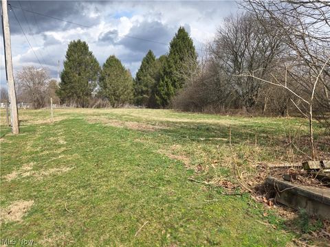Vacant Land For Sale - 107 Cemetery Street<br/> Perry County, Roseville, OH 43777