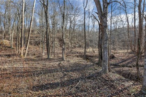 Tiny photo for 3750 Cannelville Road, Roseville, OH 43777 (MLS # 5187727)