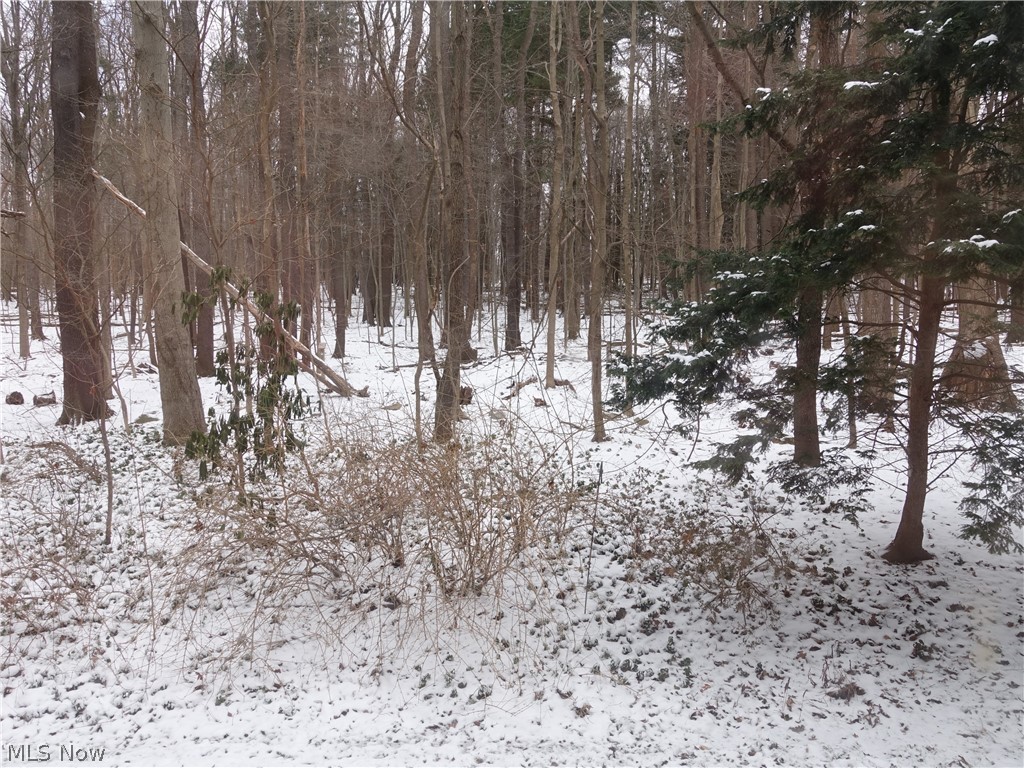 Silver Lake Towers - Residential