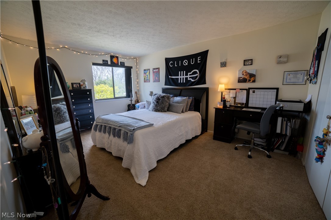 Big Turtle 02 - Residential