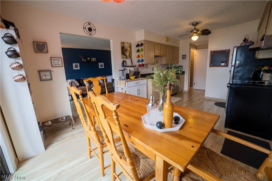 Big Turtle 02 - Residential