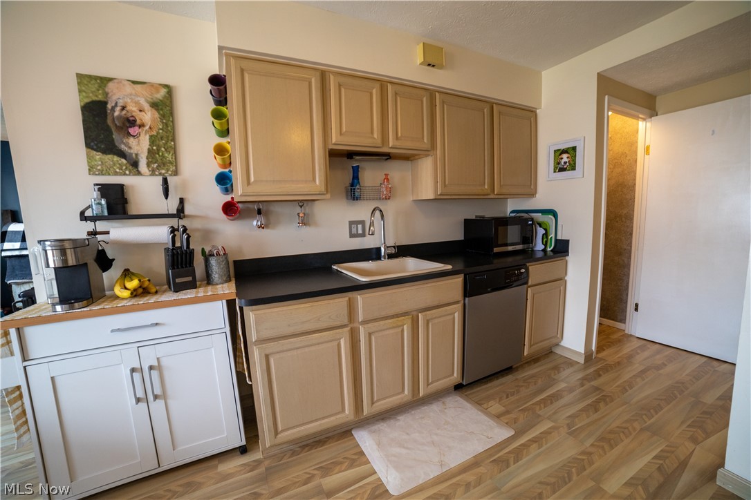 Big Turtle 02 - Residential