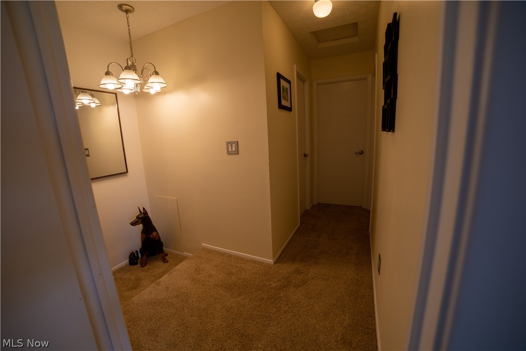 Big Turtle 02 - Residential