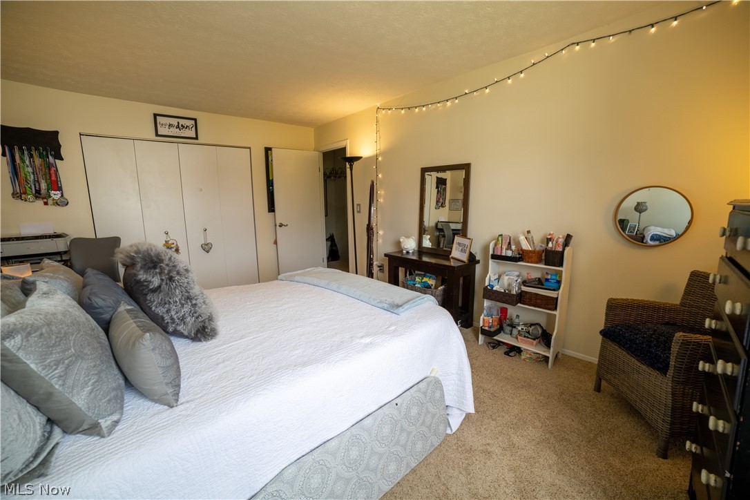 Big Turtle 02 - Residential