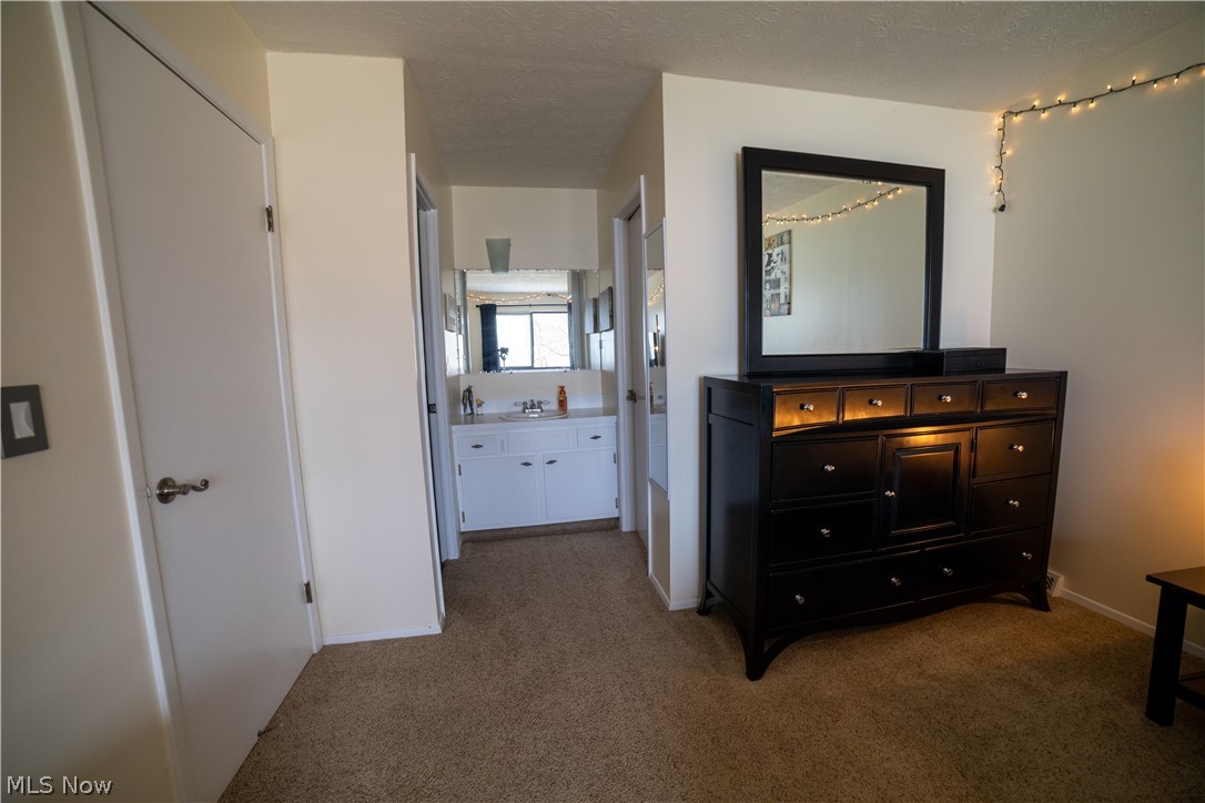 Big Turtle 02 - Residential