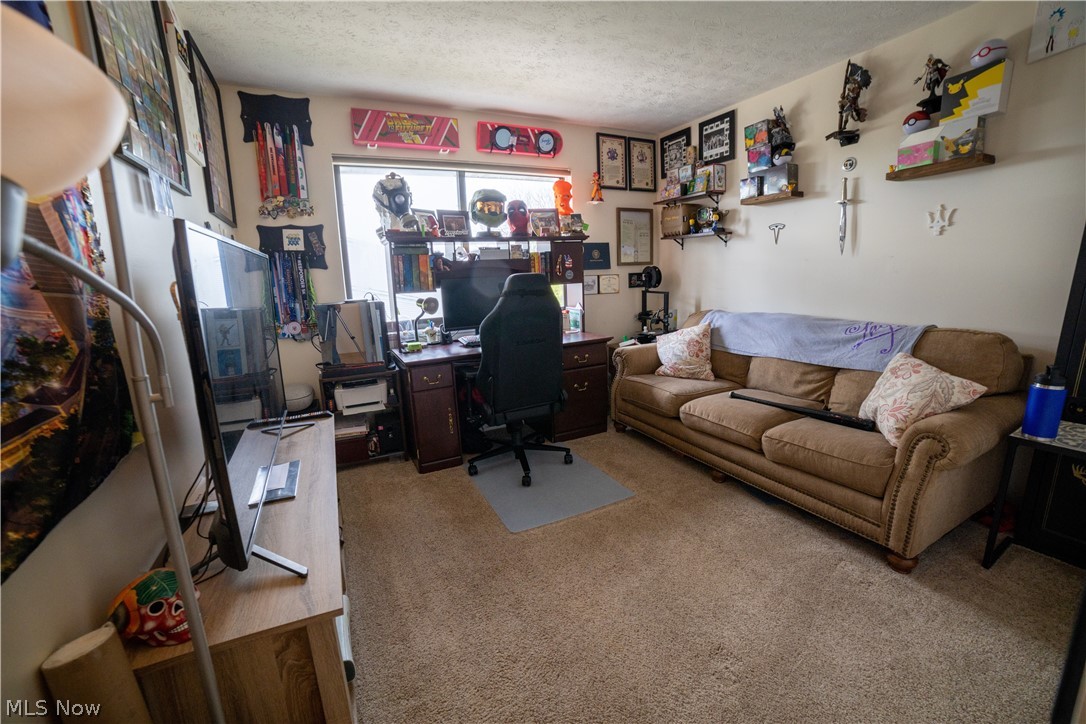 Big Turtle 02 - Residential