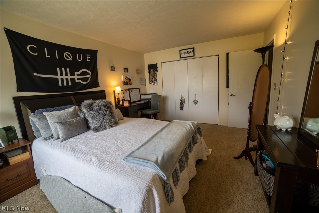 Big Turtle 02 - Residential