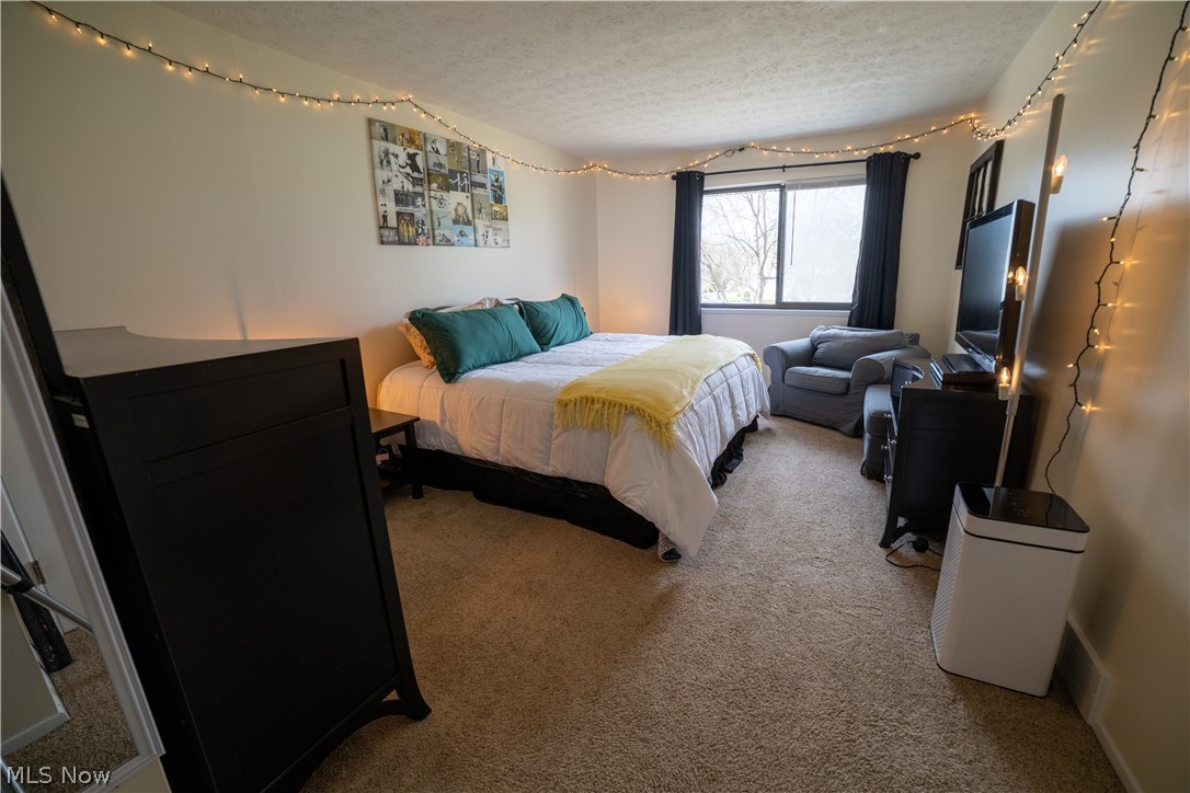 Big Turtle 02 - Residential