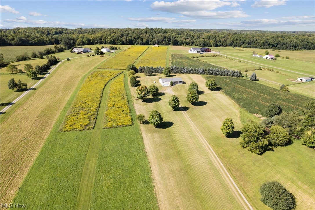 Nelson - Residential