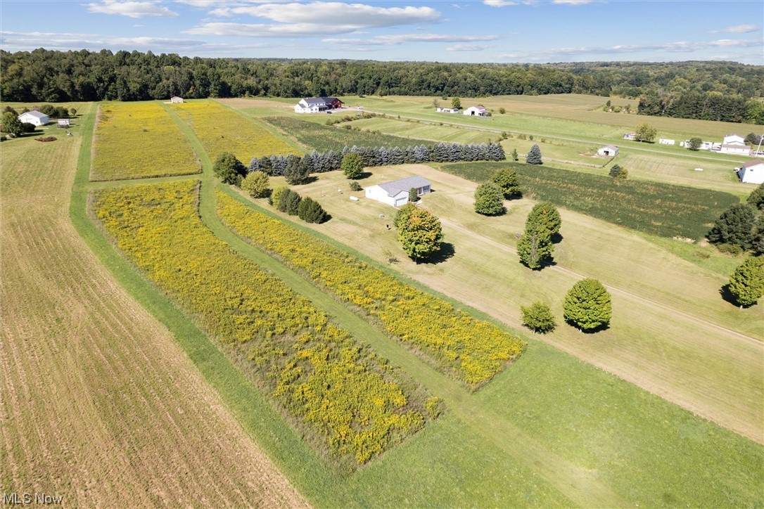 Nelson - Residential