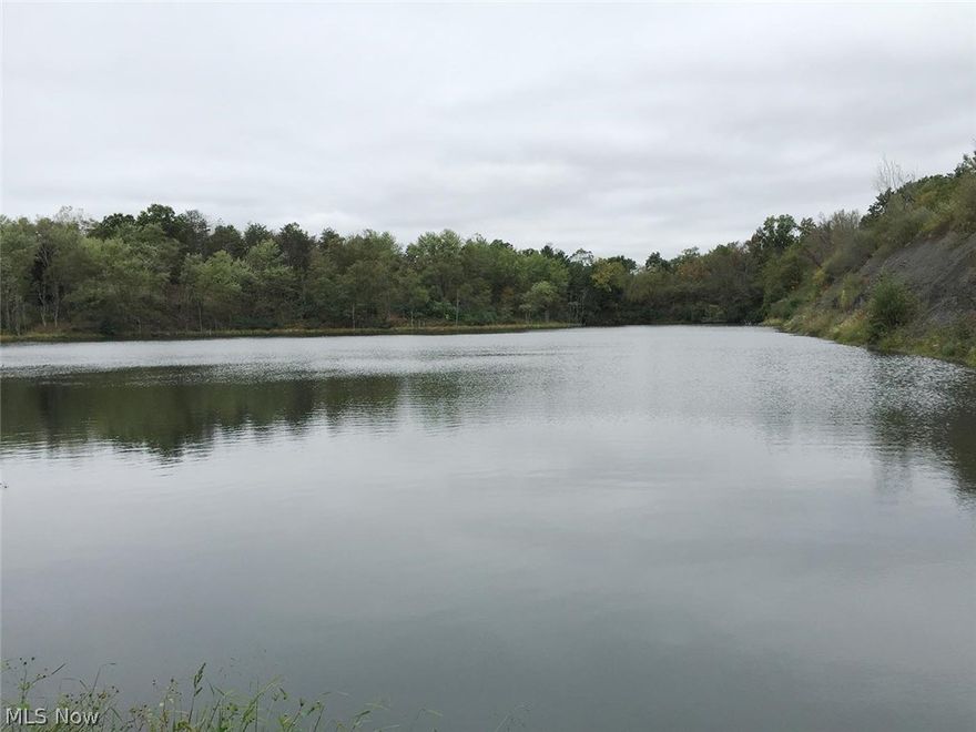 SOLD AS ENTIRETY. Absolute auction, all sells on location on Saturday – November 14, 2015 @ 11:00AM. 99+ Acres Land w/ 2 Lakes - Recreation & Hunters Paradise - 5+ Acre Lake – 1+ Acre Lake - Loads of Wildlife – Long Drive w/Gas Well - All Mineral Rights Transfer Including Income - Family Owned Since Late 1800’s - Offered in 4 Parcels and as Entirety, selling whichever brings the best price. Real estate features approx. 99+ acres land with very nice 5+ acre lake, nice approach with large trees in back. Also 1+ acre lake in back. Long oil well drive to the center of the property. One acre parcel out front w/longtime tenant. (Note: Tenant owns the modular home, owner owns the land, well & septic.) All mineral rights transfer with current gas/oil lease including income & free gas. Parcel #1 – 1 acre land w/ well & septic, tenant owns modular home. Land rents for $170/month. Parcel #2 – 3.2 acres wooded land. Parcel #3 – 23.5 acres open/wooded land, small pond in front. 1,298’ frontage. Par