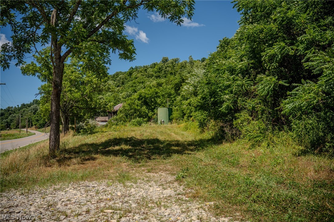 Harrietsville Road, Lower Salem, Ohio image 30