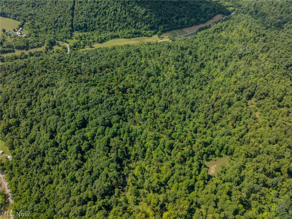 Harrietsville Road, Lower Salem, Ohio image 3