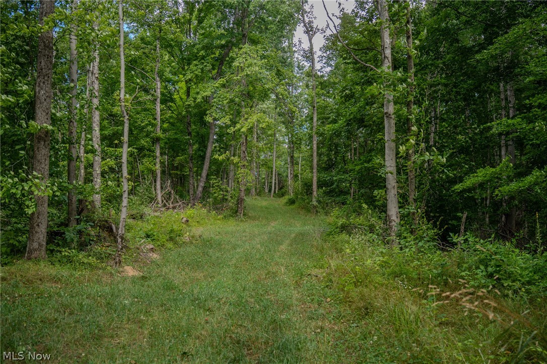 Harrietsville Road, Lower Salem, Ohio image 22