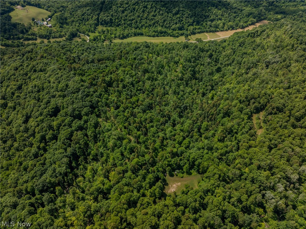 Harrietsville Road, Lower Salem, Ohio image 6