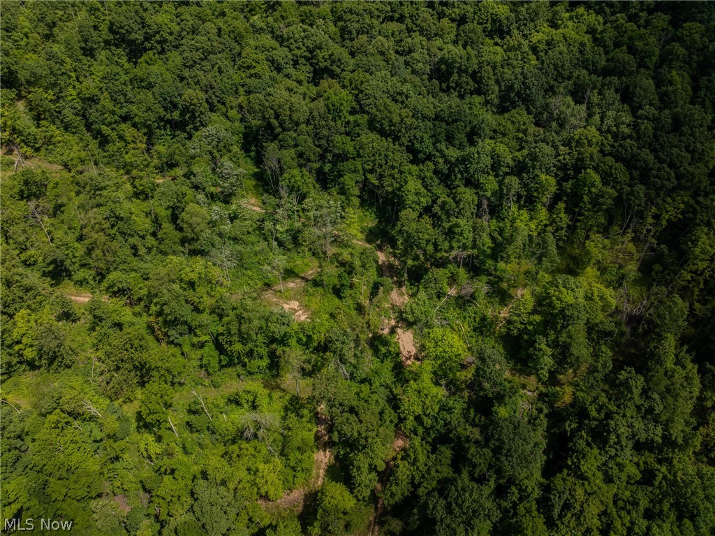 Harrietsville Road, Lower Salem, Ohio image 9