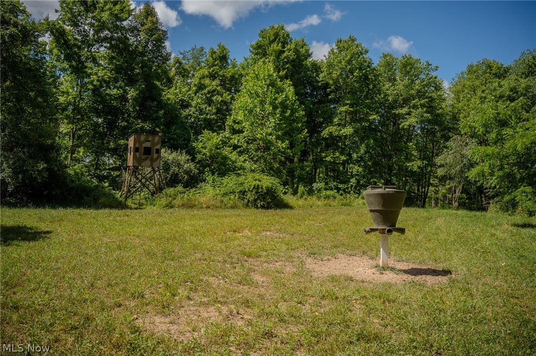 Harrietsville Road, Lower Salem, Ohio image 27