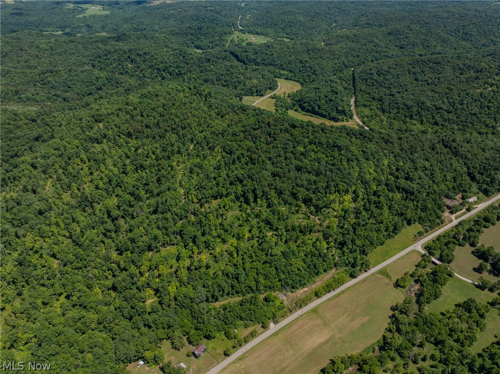 Harrietsville Road, Lower Salem, Ohio image 11