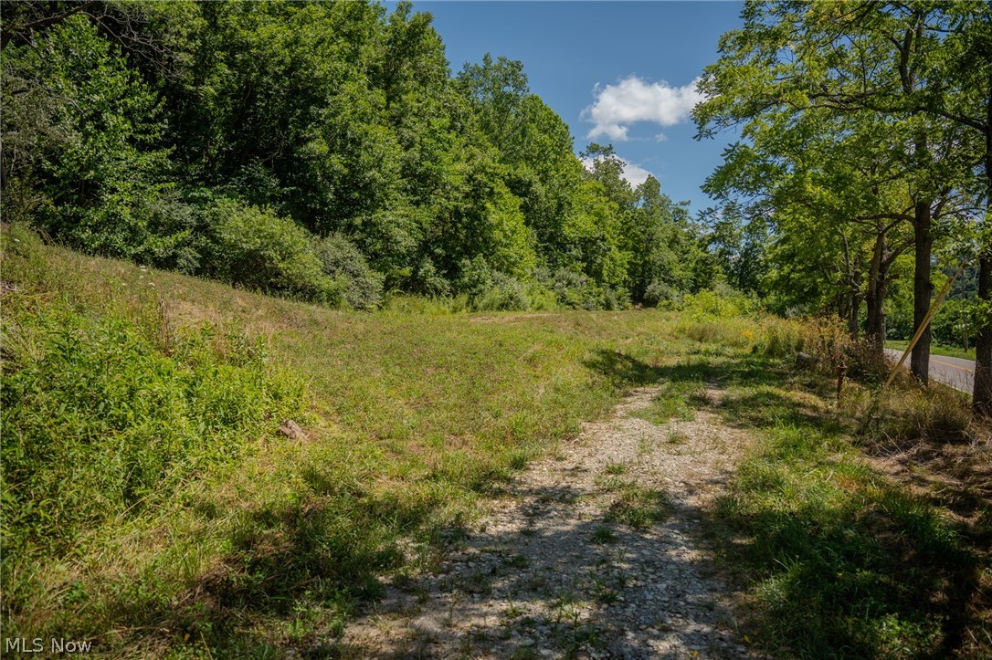 Harrietsville Road, Lower Salem, Ohio image 1