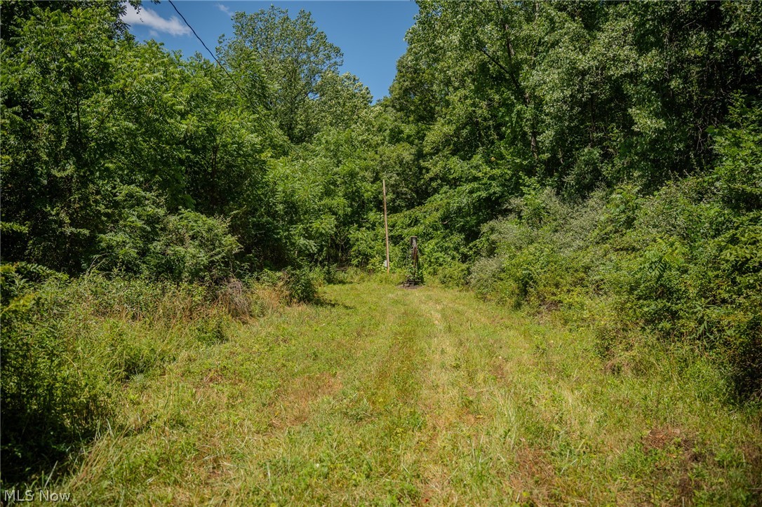 Harrietsville Road, Lower Salem, Ohio image 28