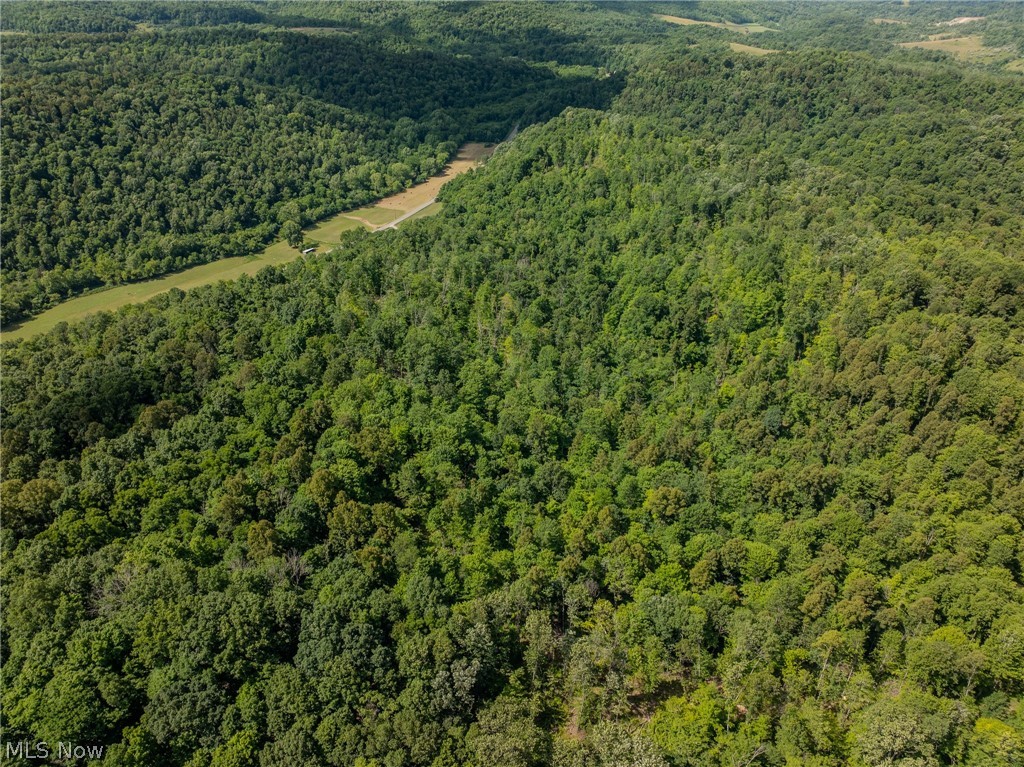 Harrietsville Road, Lower Salem, Ohio image 4