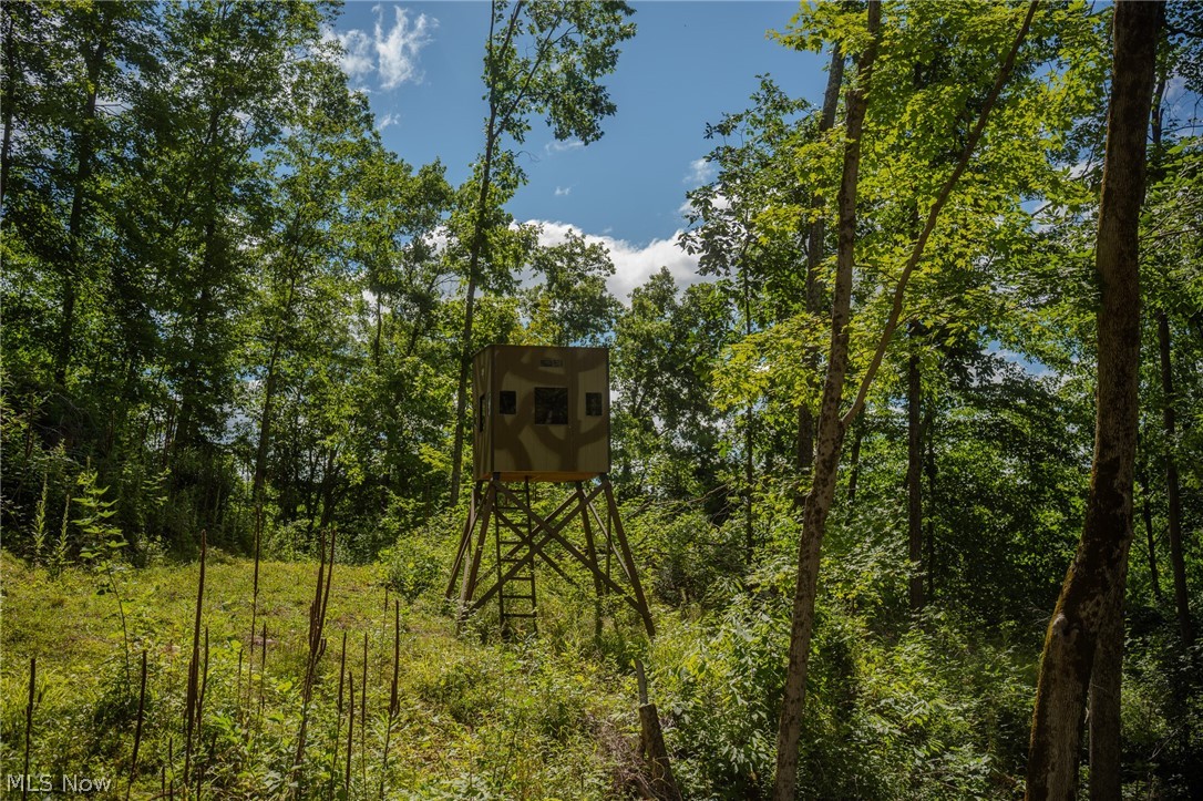 Harrietsville Road, Lower Salem, Ohio image 15